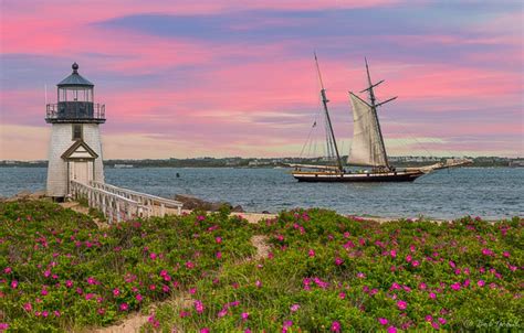 Wallpaper flowers, the ocean, coast, lighthouse, sailboat, Massachusetts, The Atlantic ocean ...