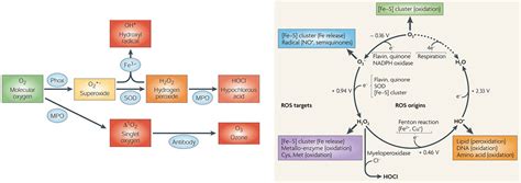 Frontiers | Nanomaterial-based photodynamic therapy for antibacterial ...