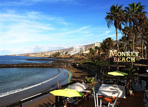 The best bars and nightlife in Tenerife | EasyJet | Traveller