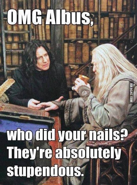 Harry Potter meme - Snape and Dumbledore | Funny | Pinterest | Snape harry potter, Harry potter ...