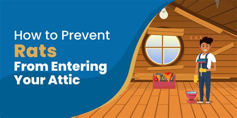 How to Get Rid of Rats in Attic For Good [Without Killing]