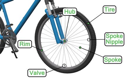 Parts of A Bike Diagram | The Bicycle Anatomy Guide For All