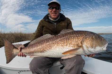 Laguna Madre Outfitters Louisiana Fly Fishing December 2015