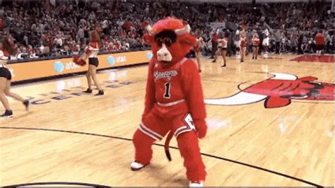 Benny The Bull Bulls Mascot GIF by Chicago Bulls - Find & Share on GIPHY