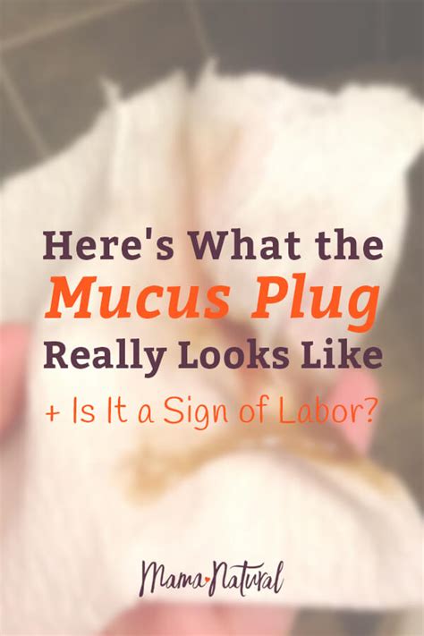 Mucus Plug: Does Labor Start When You Lose it? (Photos)