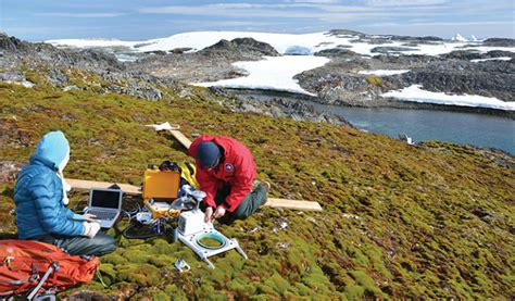 130,000 Years of Data Show Peatlands Store Carbon Long-Term | Lehigh University