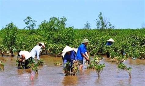 Climate Signals | Mekong Delta planning for impact from climate change