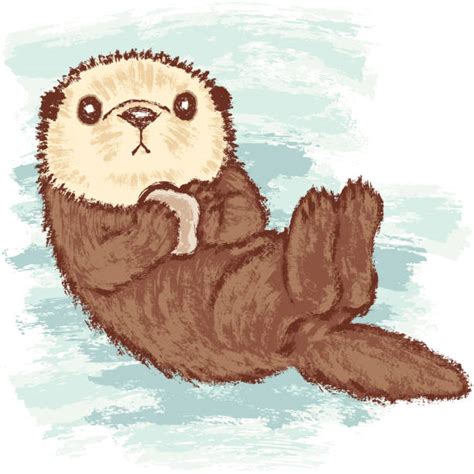 Top 60 Sea Otter Clip Art, Vector Graphics and Illustrations - iStock