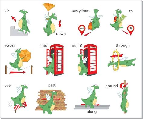 What are the Different Types of Prepositions?