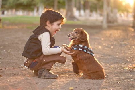 Zarpas Veterinaria: Quieres saber los beneficios de tener una mascota ...