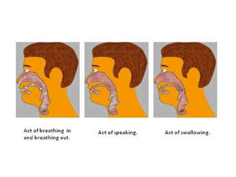 Introductory Video - The Cause of Stuttering - YouTube