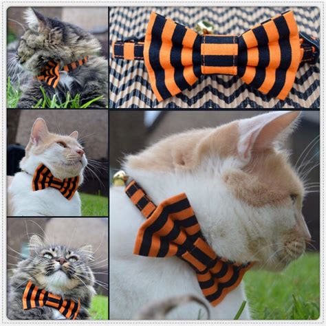 Black and orange striped Halloween cat bow tie collar cat bow | Etsy | Halloween cat, Cat bow ...