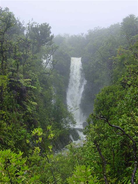 The Hana Highway Waterfalls - A Complete Road Guide