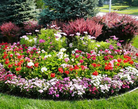 All-Year-Round Plants for Troughs: A Guide to Year-Round Beauty