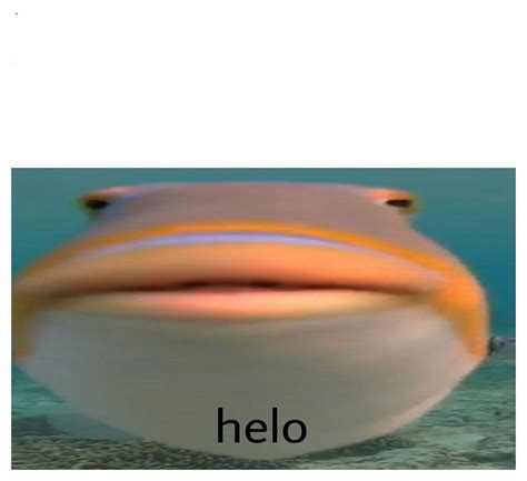 henlo fish Blank Template - Imgflip