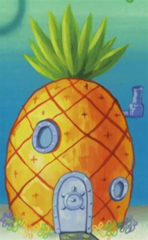 Image - SpongeBob's pineapple house in Season 2-1.png | Encyclopedia ...