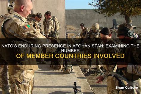 Nato's Enduring Presence In Afghanistan: Examining The Number Of Member ...