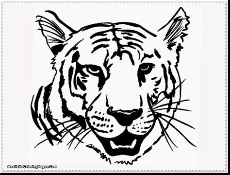 Tiger Roaring Drawing at GetDrawings | Free download