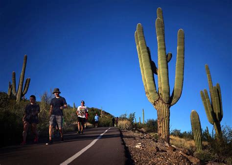 Mark your calendars, hikers: Tucson's cherished Tumamoc Hill to reopen Memorial Day | Local news ...