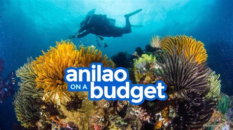 ANILAO BATANGAS: Travel Guide & Budget Itinerary | The Poor Traveler Itinerary Blog