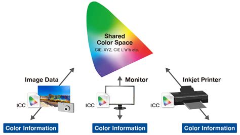 Color Management for Creators - ICC Profiles | EIZO