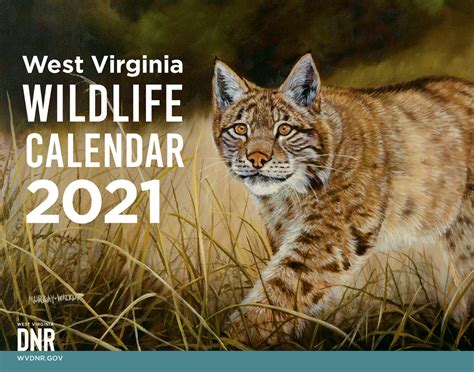 wildlife calendar