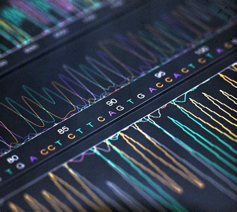 Dna Analysis Photograph by Kevin Curtis | Fine Art America