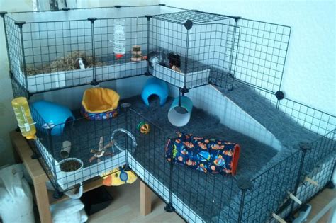 Why Extra Large Guinea Pig Cages Indoor Matters to Your Guinea Pig ...