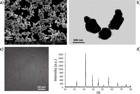 Barium titanate nanoparticles (BTNPs) characterized by a tetragonal ...