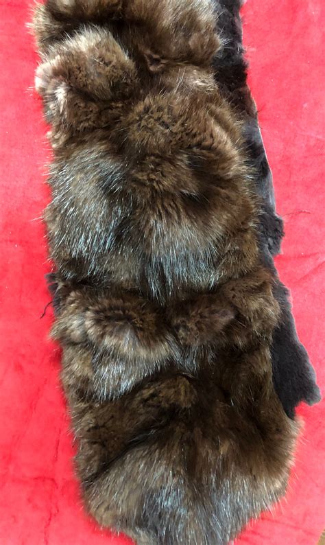 30 in Muskrat FUR Beaver Piece Strip Collar Scarf Winter | Etsy