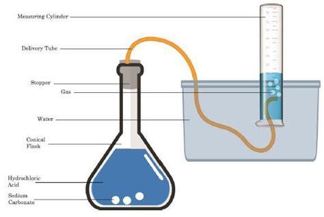 Hydrochloric acid (HCl) reacts with sodium carbonate (Na2CO3) to produce a gas that turns ...