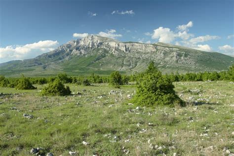 Mountain Dinara - Croatia stock photo. Image of vegetation - 4155632