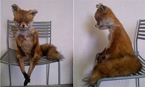 Bad Taxidermy Fox