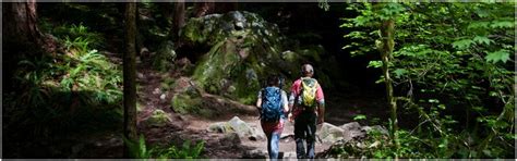 Olympic National Park Hikes and Hiking Trails in Washington - Olympicnationalparks.com | Olympic ...