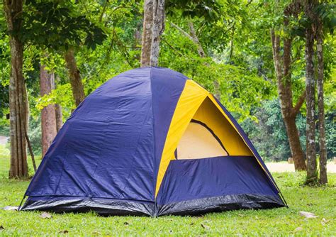 Coleman 6 Person Instant Tent Costco Best Tents Pop Up Camping Outdoor ...