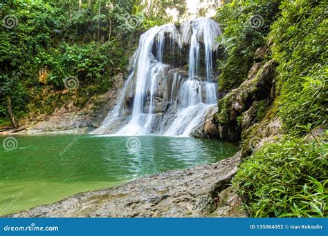 Beautiful Gozalandia Waterfall in San Sebastian Puerto Rico Stock Photo - Image of cascada ...