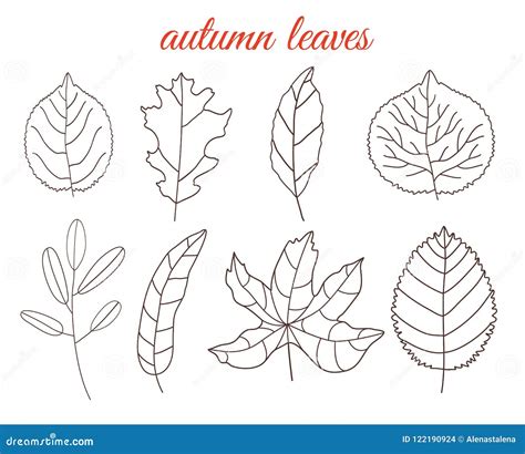 Autumn Leaves Line Art Set, Isolated on White Background. Simple Cartoon Flat Style, Vector ...