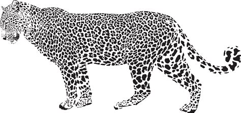 Jaguar clipart outline, Jaguar outline Transparent FREE for download on WebStockReview 2023