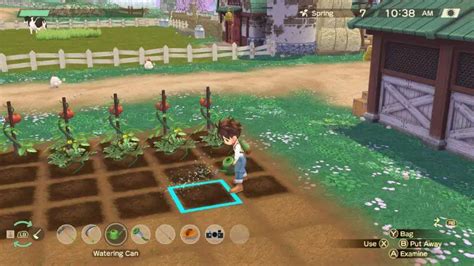 Story of Seasons A Wonderful Life Crops Farming Guide | The Nerd Stash