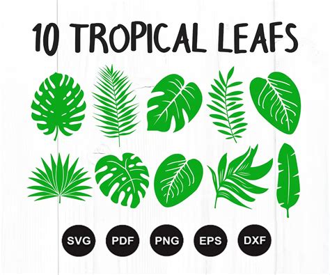 Tropical Leaves Svg Bundle Tropical Leaf Svg Palm Leaves - Etsy México