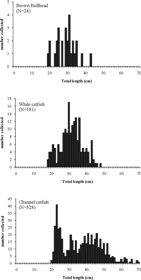 Figure 2 from Growth, spawning and habitat use of catfishes in the Delaware River Estuary ...