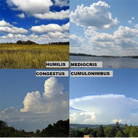 Cumulus Clouds