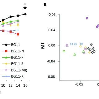 | Growth and transcriptomics of Synechocystis sp. PCC 6803. (A) Culture ...