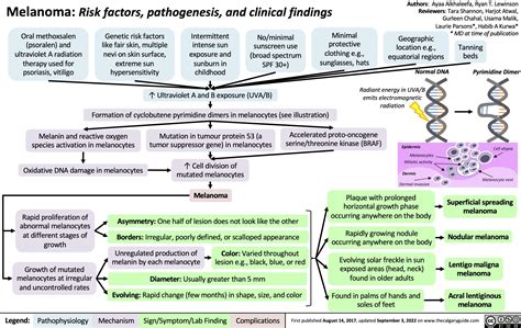 Pathophysiology Of Malignant Melanoma