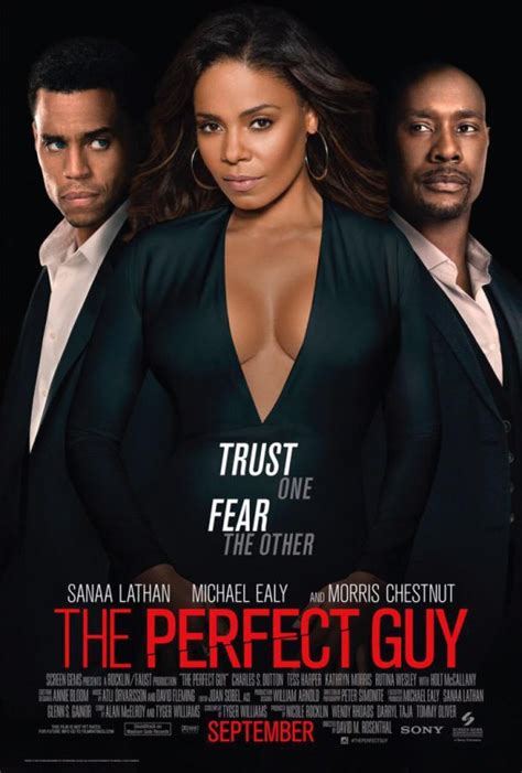 The Perfect Guy (2015) Bluray FullHD - WatchSoMuch