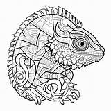 Intricate Chameleon Coloring Design  Page sketch template