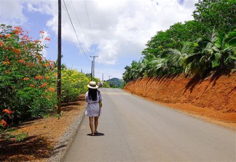 Rural Road in Mauritius Island Editorial Photo - Image of natural, countryside: 99822081