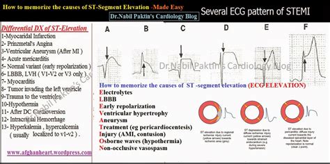 Dr.Nabil Paktin's Journal of Cardiovascular Medicine Blog ژورنال ( قلب و رگ) دکتور نبــیل ...