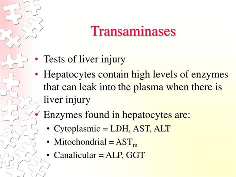 PPT - Liver Function Test PowerPoint Presentation - ID:437473