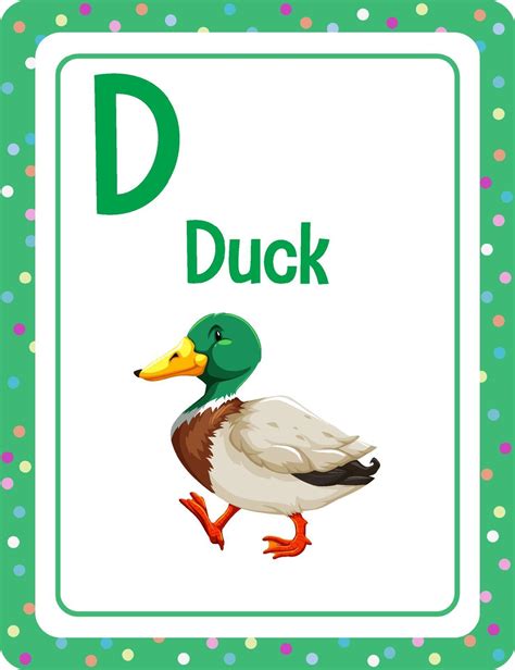 Alphabet flashcard with letter D for Duck 3188369 Vector Art at Vecteezy